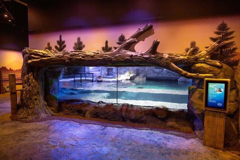 Birmingham: National Sea Life Centre Entrance Ticket - Key things to know before you go