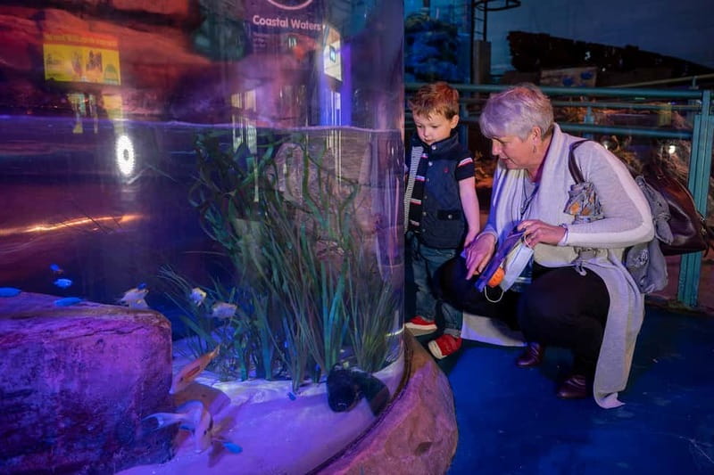 Birmingham: National Sea Life Centre Entrance Ticket - Price and value: is $25 per person fair?
