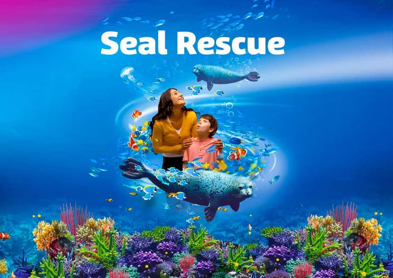 Blankenberge: SEA LIFE Entry Ticket - Sharks in the Tunnel and Piranhas Close Up: The Signature Aquarium Moments
