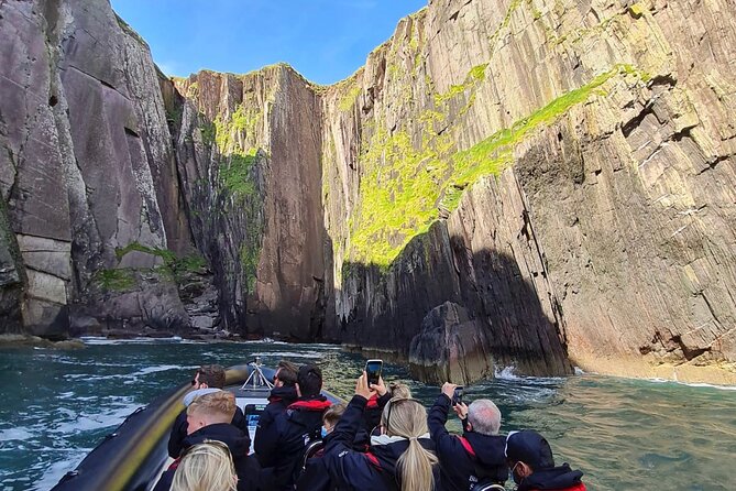 Blasket Island Sea Life Rib Tour, - From Farrannakilla Out to the Blaskets: What This Tour Really Feels Like