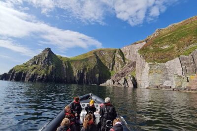Blasket Island Sea Life Rib Tour, - The Big Draw: Wildlife Chances That Feel Real, Not Promised