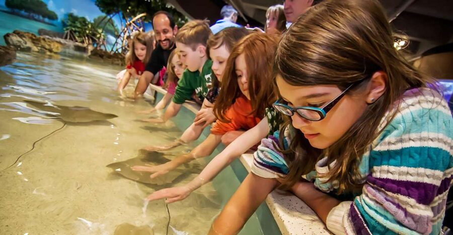 Boston: New England Aquarium Entry + Optional Simons Theatre - Price and Value: Is $39 a Good Deal?