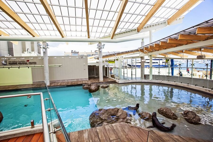 Boston: New England Aquarium Entry + Optional Simons Theatre - Skip-the-Line Aquarium Entry: Start at the Penguin Colony