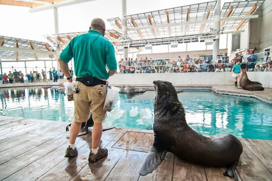 Boston: New England Aquarium Entry + Optional Simons Theatre - How to Shape Your One-Day Plan Without Feeling Rushed