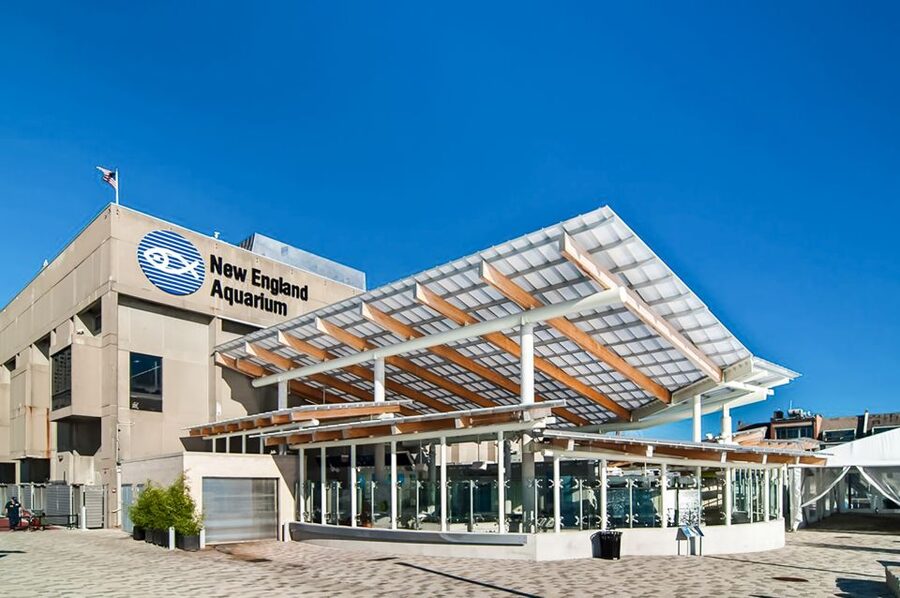 Boston: New England Aquarium Entry + Optional Simons Theatre - Giant Ocean Tank and Spiral Walkway: The 4-Story Reef Moment