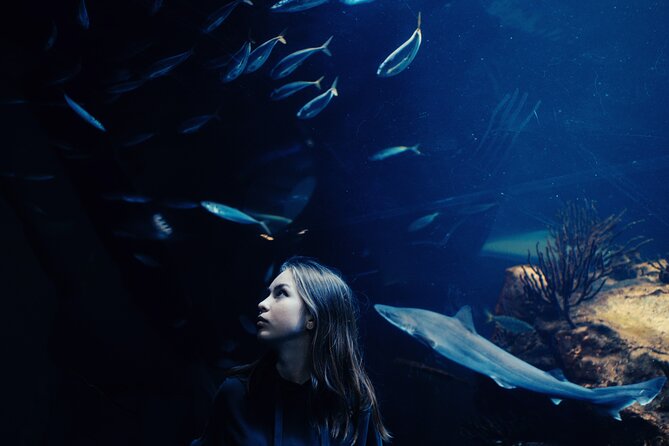 Burj Khalifa and Dubai Aquarium Combo Entrance Ticket - Why This Burj Khalifa and Dubai Aquarium Combo Works