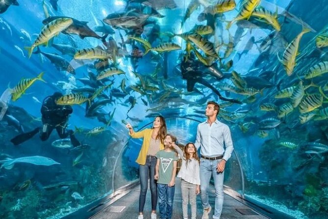 Burj Khalifa and Dubai Aquarium with Penguin Cove Combo - Why this Burj Khalifa + aquarium combo can be good value
