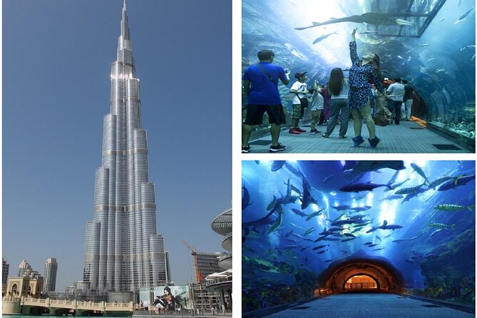 Burj Khalifa and Dubai Aquarium with Penguin Cove Combo - Going up Burj Khalifa levels 124 and 125 without the hassle