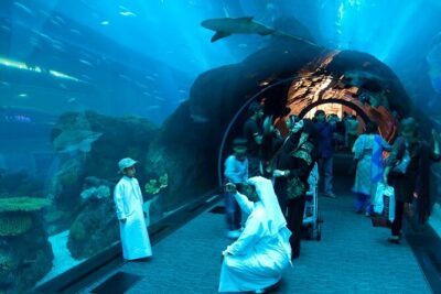 Burj Khalifa and Dubai Aquarium with Penguin Cove Combo - Start at Dubai Mall: how the timing really plays out