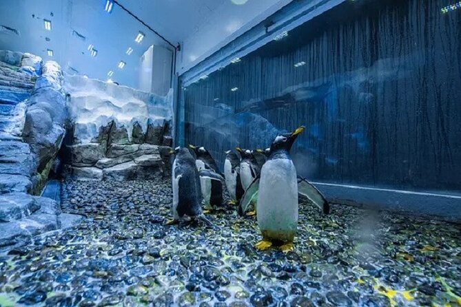 Burj Khalifa and Dubai Aquarium with Penguin Cove Combo - Dubai Aquarium: a 10 million litre tank with serious animal power