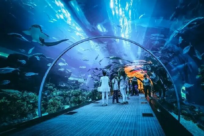 Burj Khalifa and Dubai Aquarium with Penguin Cove Combo - The 48-meter Tunnel of Wonders and the 270-degree viewing effect