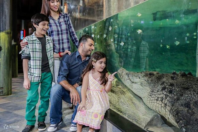 Burj Khalifa and Dubai Aquarium with Penguin Cove Combo - What’s included (and what that means for your day)
