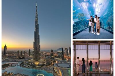 Burj Khalifa At the Top & Dubai Aquarium Combo Entrance Tickets - Dubai Aquarium & Underwater Zoo: Sharks, Rays, and What Makes It Worth the Ticket