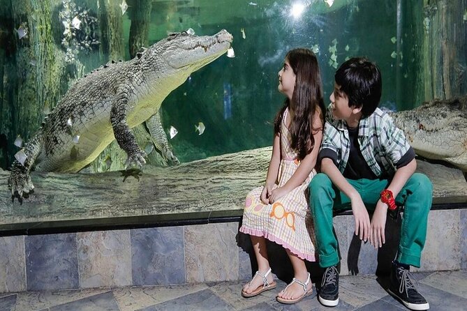 Burj Khalifa At The Top & Underwater Zoo Aquarium with Transfer - Transfers and timing: how to fit two big sights into 3–5 hours