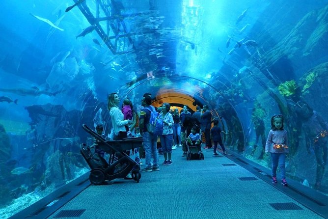 Burj Khalifa, Dubai Aquarium & UWZ with Penguin Cove Entry Ticket - Photo tips for Dubai height (and what heat haze can do)