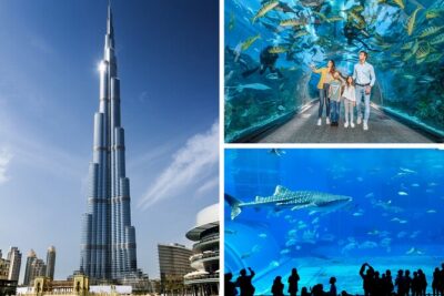 Burj Khalifa, Dubai Aquarium & UWZ with Penguin Cove Entry Ticket - Dubai Aquarium time: thousands of fish and the tunnel factor