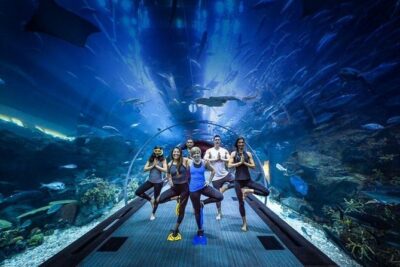 Burj Khalifa, Dubai Aquarium & UWZ with Penguin Cove Tickets - Burj Khalifa At The Top (124th–125th floors): what you’ll actually do