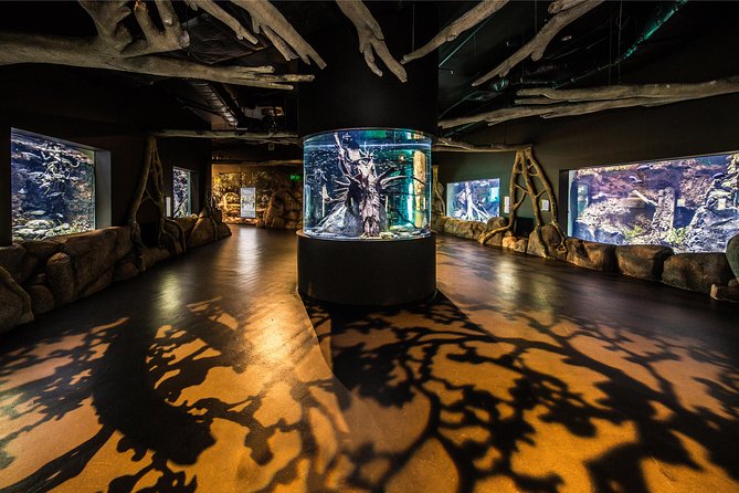 Cairns Aquarium Admission Ticket - Key things to know before you go
