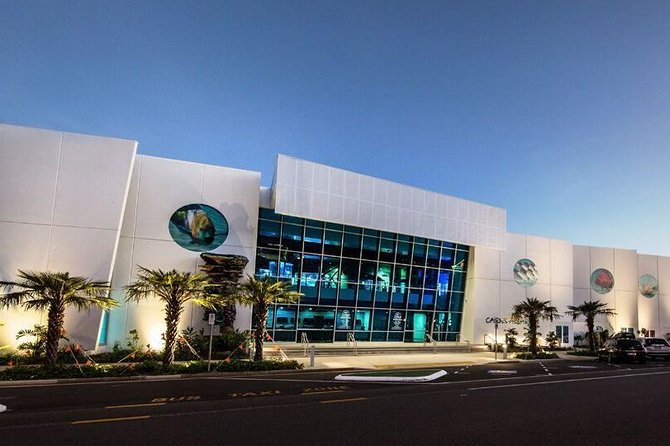Cairns Aquarium Admission Ticket - Cairns Aquarium tickets: the real value is how fast it teaches you