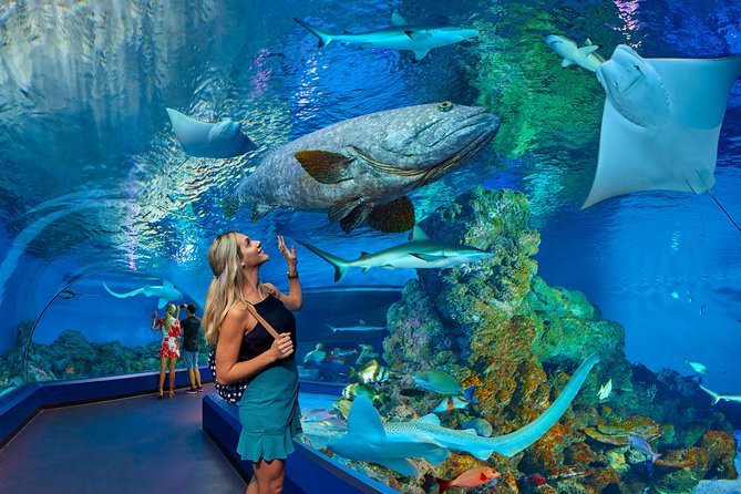 Cairns Aquarium Admission Ticket - Oceanarium with an underwater tunnel and the deep reef tank