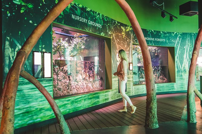 Cairns Aquarium Admission Ticket - The rain-to-reef journey through 70 habitats
