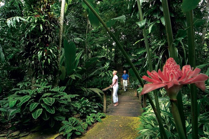 Cairns Aquarium and small group City Sightseeing Tour - Price and value: $139.21 for an aquarium day plus a guided city circuit