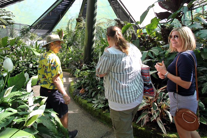 Cairns Aquarium and small group City Sightseeing Tour - Logistics that actually matter: tickets, timing, and drop-off