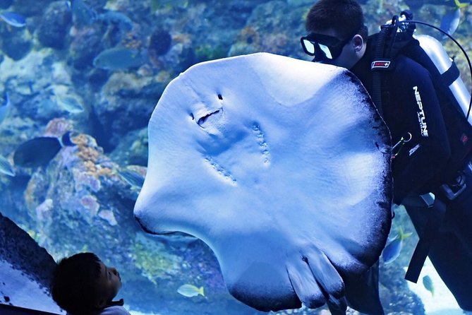 Cairns Aquarium and small group City Sightseeing Tour - Cairns Aquarium: self-paced viewing of 16,000 Wet Tropics and Reef animals