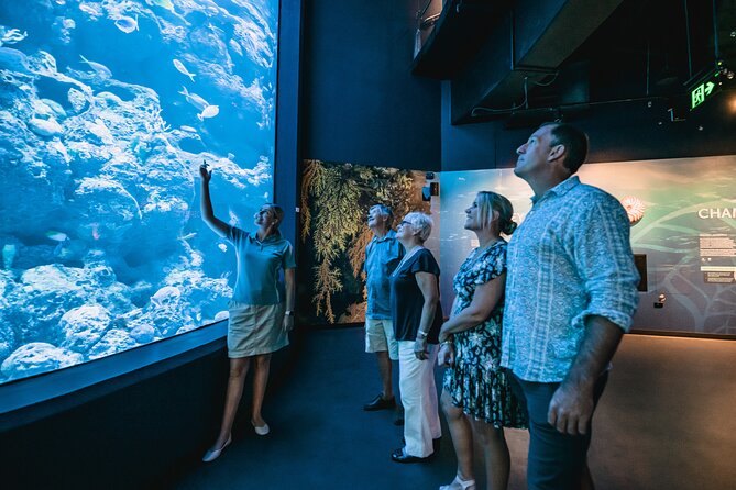 Cairns Aquarium by Twilight Tour - Why Twilight Changes the Aquarium