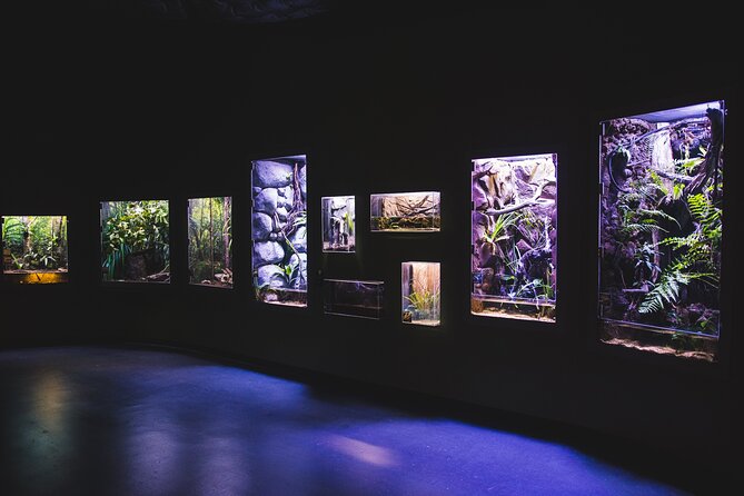 Cairns Aquarium by Twilight Tour - Price and Value: Does $60.97 Make Sense?