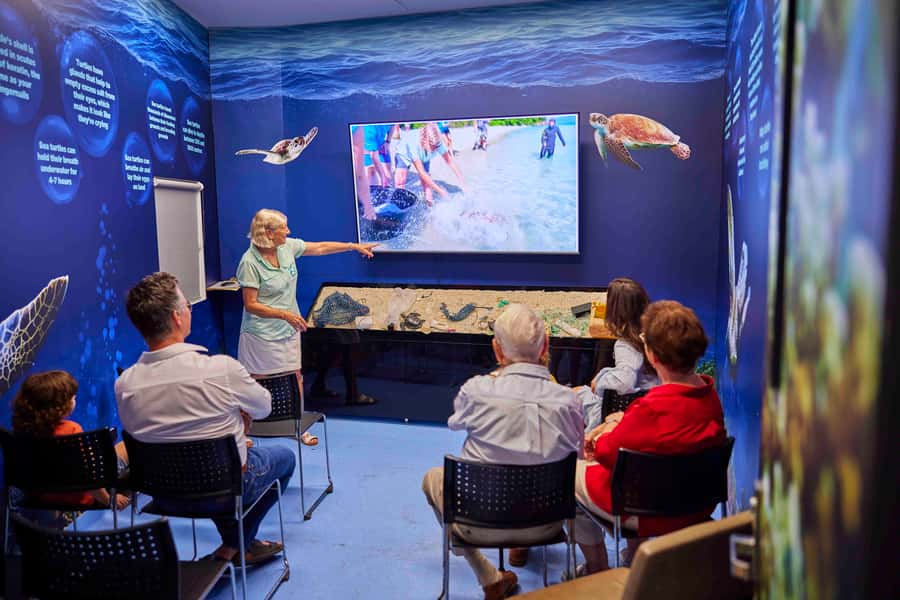 Cairns: Aquarium Entry Ticket and Turtle Rehabilitation Tour - Key things to know before you go
