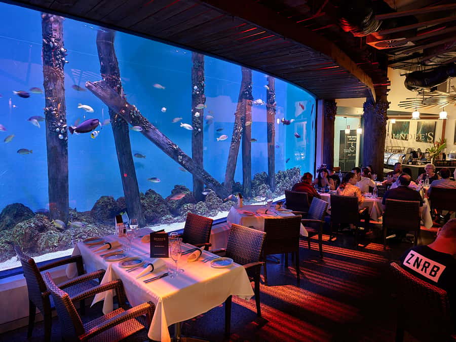 Cairns Aquarium General Admission Ticket - Where Cairns Aquarium fits in your Cairns day