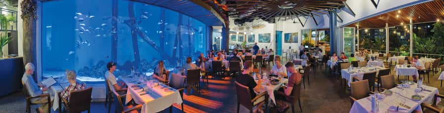 Cairns: Aquarium Guided Twilight Tour with 3-Course Dinner - Price and Timing: Is $126 Worth It for a 3-Hour Night Plan?
