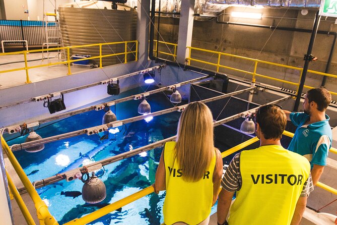 Cairns Aquarium Marine Life Encounter Ticket - Key highlights you’ll actually care about