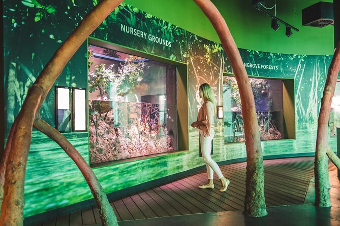 Cairns Aquarium Marine Life Encounter Ticket - Scatter feeds: freshwater rays, barramundi, and outback river monsters
