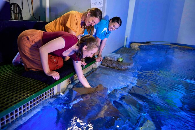 Cairns Aquarium Marine Life Encounter Ticket - Reptile breeding facility: conservation work beyond the sea