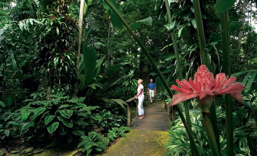 Cairns Aquarium Turtle Hospital and City Sightseeing Tour - Should you book the Cairns Aquarium Turtle Hospital and City Sights Tour?