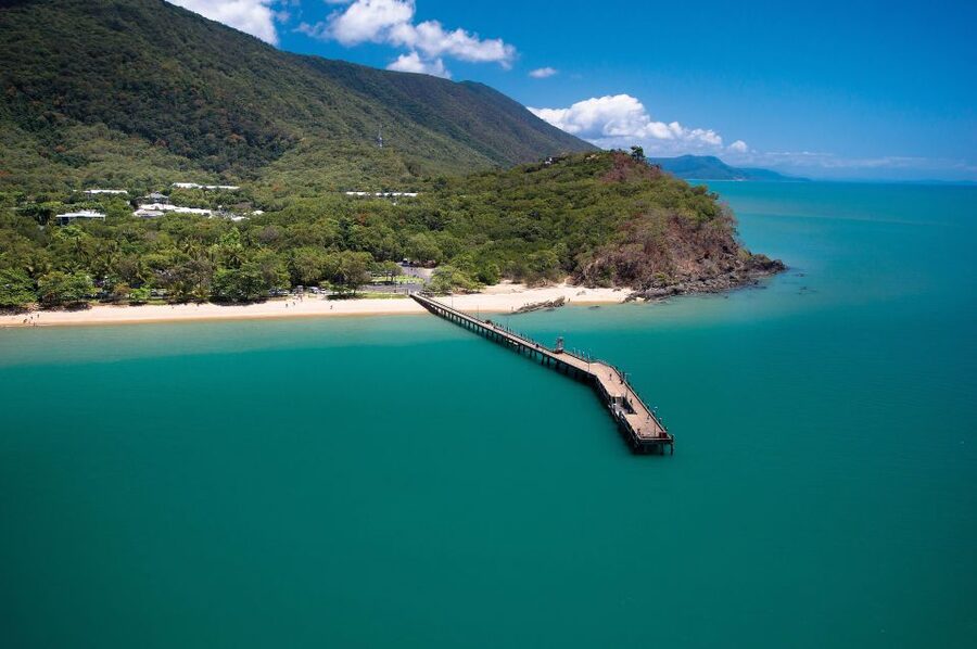 Cairns Aquarium Turtle Hospital and City Sightseeing Tour - Palm Cove: the coast finale that doesn’t feel rushed