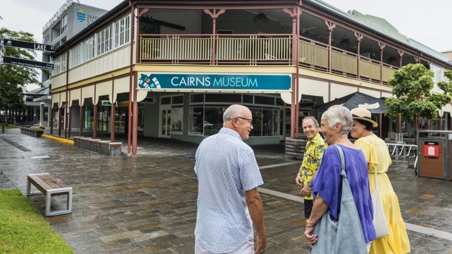 Cairns Aquarium Turtle Hospital and City Sightseeing Tour - Price and value: what $139 buys you in a full day