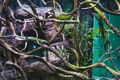 Cairns: Guided Twilight Tour of the Aquarium - The walk-through after-hours: what the aquarium feels like at dusk