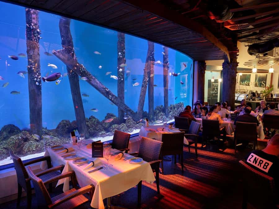 Cairns: Night at the Aquarium Guided Tour - Cairns Aquarium at Night: Why This Feels Different
