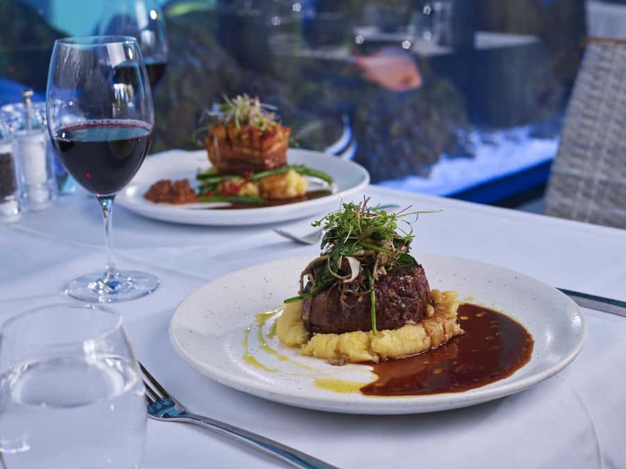 Cairns: Night at the Aquarium Guided Tour & 2 Course Dinner - Night coral display: the glow that makes the whole place click