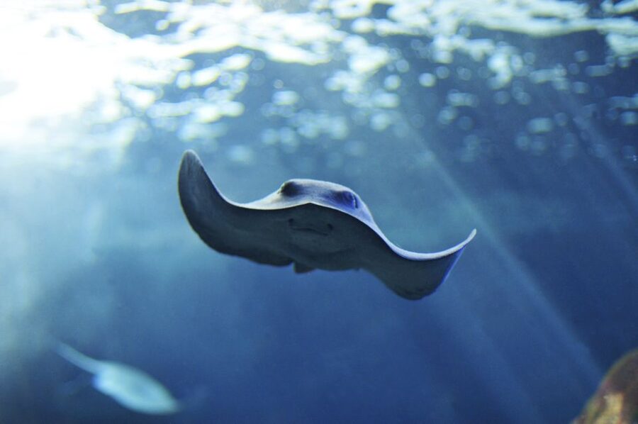 Cala Gonone: Cala Gonone Aquarium Entry Ticket - Where Cala Gonone Aquarium fits into Sardinia’s coastline