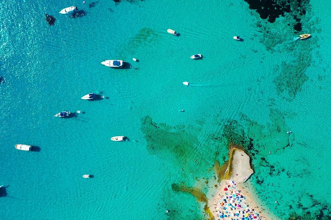 Cala Salada and Unspoiled North Beach Tour. Snorkelling and Aquarium - Price and value: why this can be a bargain if you want a full day on the water