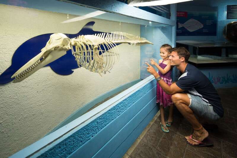 Cancún: Interactive Aquarium Admission - Key things to know before you go
