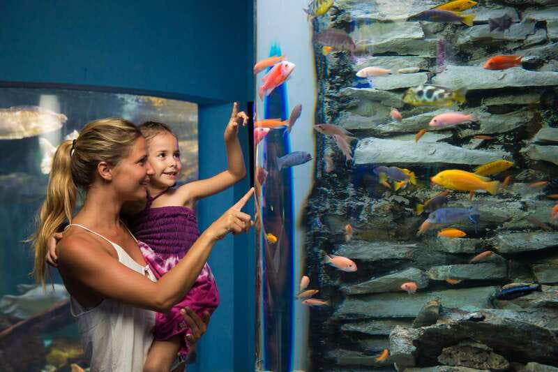 Cancún: Interactive Aquarium Admission - Who this is best for (and who might want a bigger aquarium)