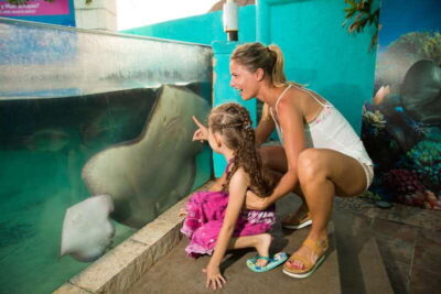 Cancún: Interactive Aquarium Admission - What $17 really buys you: the included exhibits versus the extras