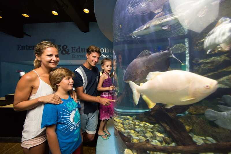 Cancún: Interactive Aquarium Admission - Touch tanks with rays, starfish, and sea urchins