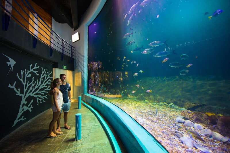 Cancún: Interactive Aquarium Admission - Colorful corals and anemones: what to look for beyond the obvious