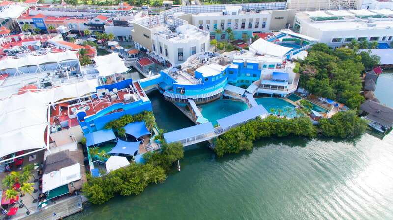 Cancún: Interactive Aquarium Admission - Dolphin viewing: active interactions without the swim program